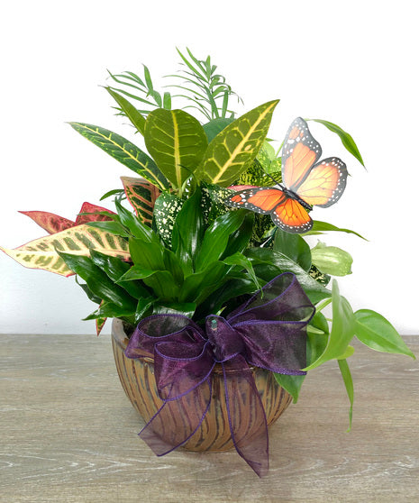 Small Dish Garden