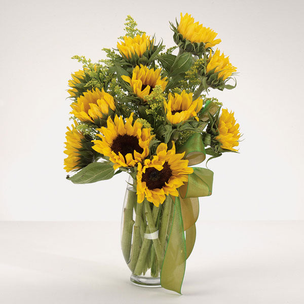 Sunflower Sunrise